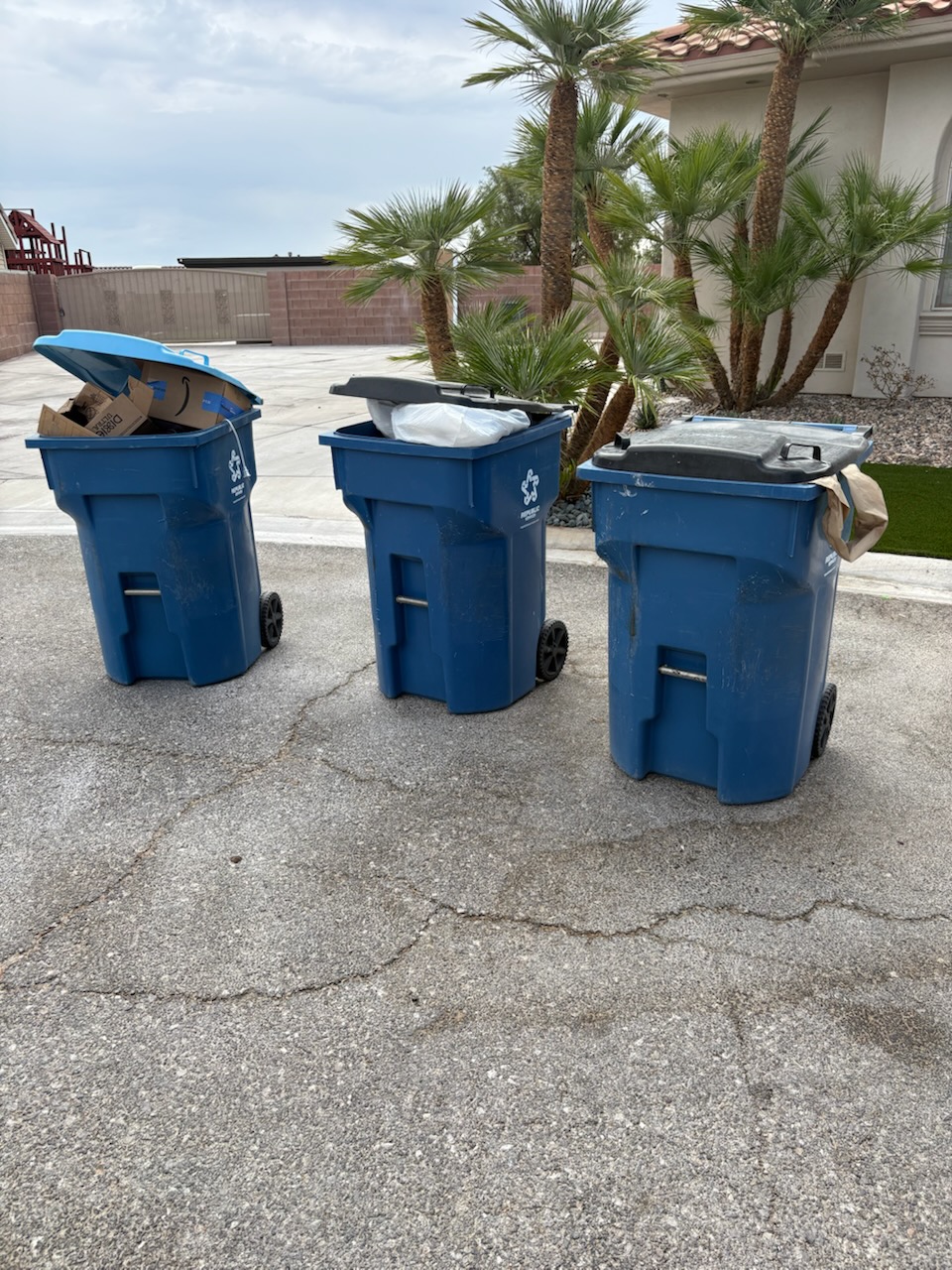 Three full residential bins positioned at the curb before trash collection in Las Vegas
