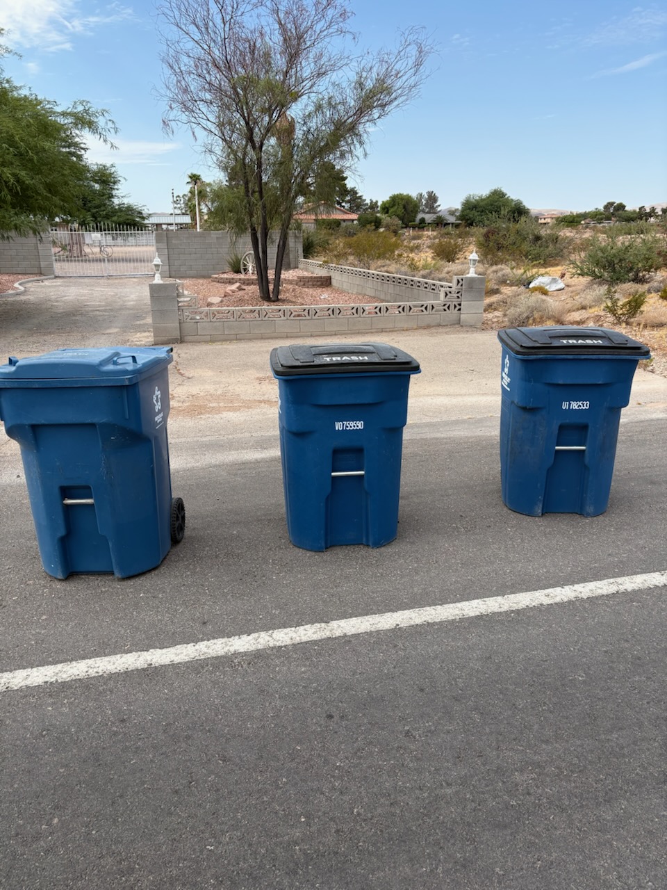 Three residential trash bins neatly placed at the curb for collection